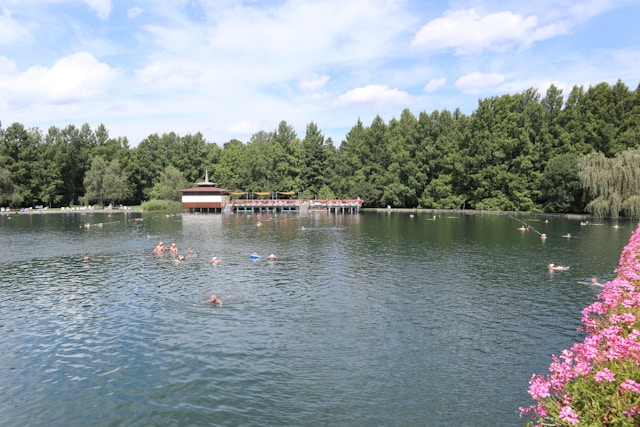 Inspiração Trenvonvora